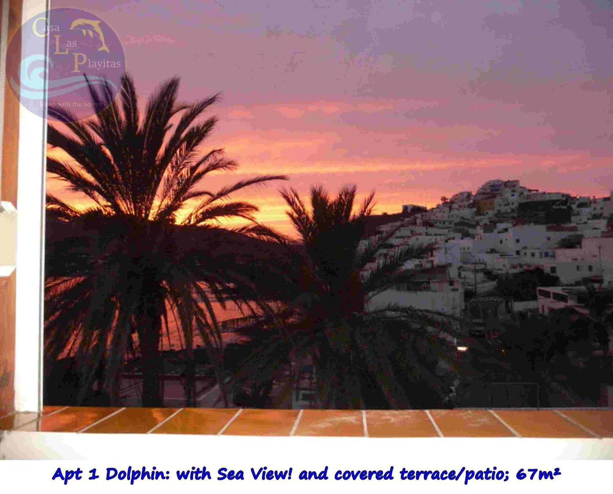 Casa Las Playitas -Clp- Best Sea View - In 1 Minute Ocean Las Playas Luaran gambar