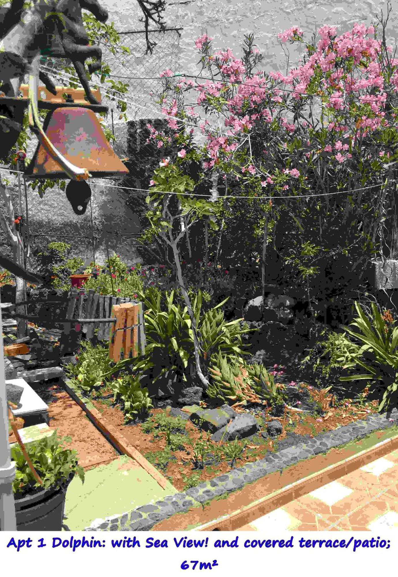 Casa Las Playitas -Clp- Best Sea View - In 1 Minute Ocean Las Playas Luaran gambar